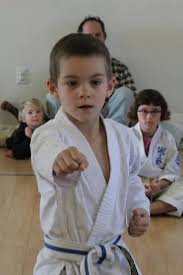 Image result for Aylesbury Vale Seido Karate