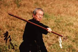 Image result for Yeo Dojo Also Teaching Gracie Jujutsu