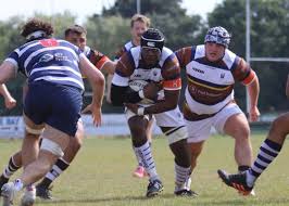 Image result for Southend Rugby Football Club Ltd