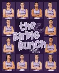 Image result for Mission Impossible Netball Club