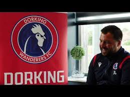 Image result for Dorking Wanderers F C