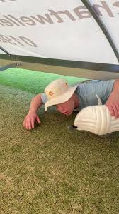 Image result for St Cross Symondians Cricket Club
