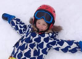 Image result for Sandown Sports Club