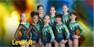 Image result for Asymmetrix Gymnastics Club