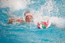 Image result for Bristol University Swimming and Waterpolo Club