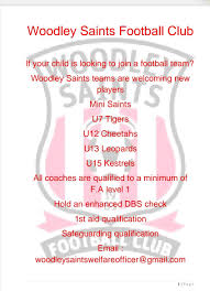 Image result for Woodley Saints Ladies FC