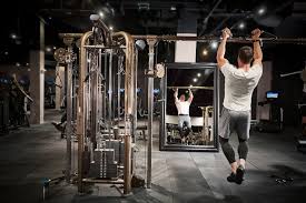 Image result for Lynx Gymnastics Club