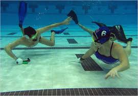 Image result for York Octopush Club