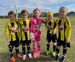 Image result for Abbey Lane Junior Football Club