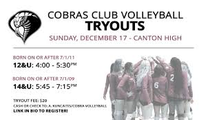 Image result for Chesterfield Cobras Volleyball Club