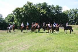 Image result for Bookham Riding School