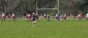 Image result for Pontardawe Rugby Football Club