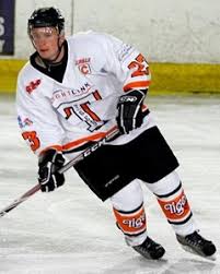 Image result for Wightlink Raiders