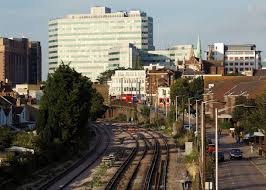 Image result for Octopushy (Croydon Area)