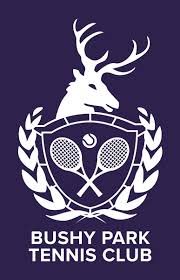 Image result for Teddington Table Tennis Club