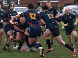 Image result for Northampton Old Scouts Rfc