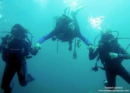 Image result for Deep Blue Diving