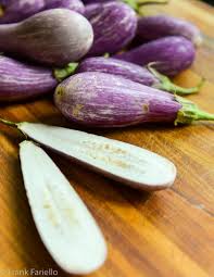 Afbeeldingsresultaat voor melanzana prosperosa eggplant