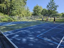 Image result for The Pickleballers UK