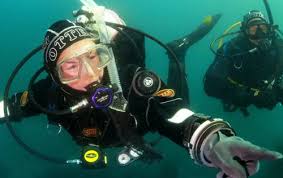 Image result for Southdown Divers