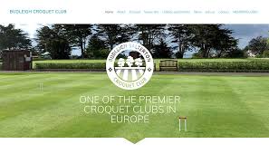 Image result for BUDLEIGH SALTERTON CROQUET CLUB