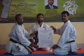Image result for Dragon Martial Arts Association