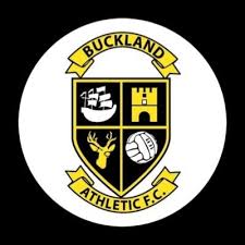 Image result for Buckland & Milber Football Club