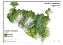 Attēlu rezultāti vaicājumam “Poa nemoralis”