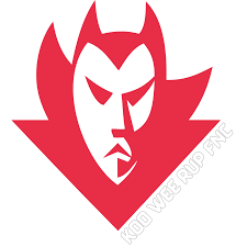 Image result for Kewstoke Junior Football Club