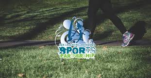 Image result for Sandyford Cricket Club