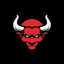 Image result for red bull logo