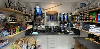 Image result for World of Shinty