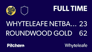 Image result for Whyteleafe Netball Club