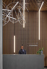 Image result for Islington Divers 333