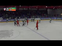 Image result for Basingstoke Bison Ice Hockey Club