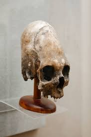 Image result for elongated skulls