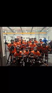 Image result for Telford Junior Ice Hockey Club