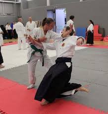 Image result for Aikido - Shobu UK