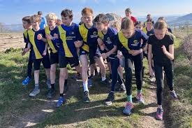 Image result for Midhurst Milers