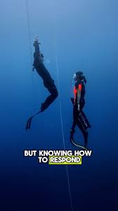 Image result for Bath Freediving Club