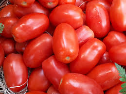 Image result for Tomate