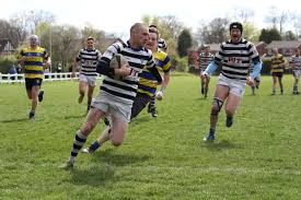 Image result for Silloth Rugby Union Club