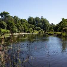 Image result for Crowborough & District Anglers Association