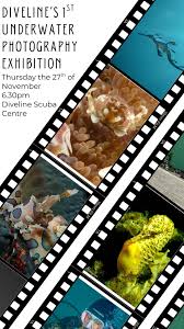 Image result for Diveline