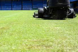 Image result for Pitch marking blog