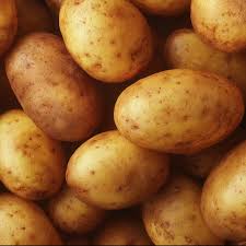 Attēlu rezultāti vaicājumam “Solanum tuberosum”