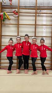 Image result for City Of Liverpool Gymnastics Club