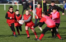 Image result for Ely Rugby Union Football Club