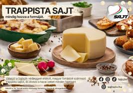 Image result for trappista
