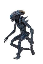 Image result for Alien vs Predator